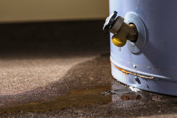 Best Flood damage cleanup  in Memphis, TX