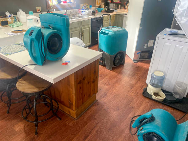 Best Basement water damage restoration  in Memphis, TX