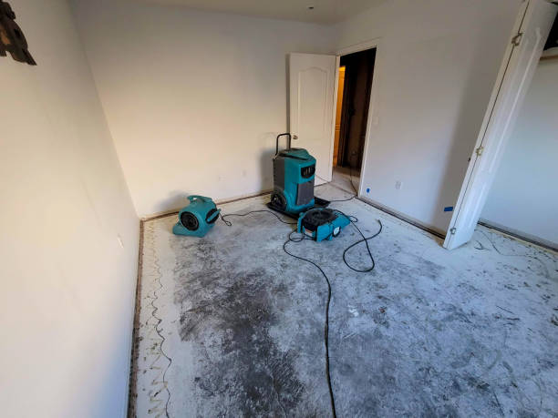 Best Residential water damage restoration  in Memphis, TX