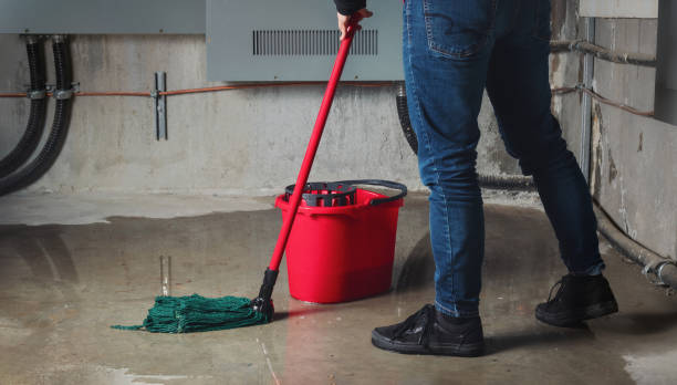  Memphis, TX Water damage restoration Pros