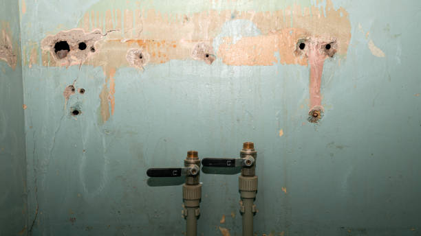 Best Flooded house restoration  in Memphis, TX