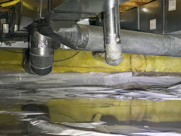 Best Ceiling water damage repair  in Memphis, TX