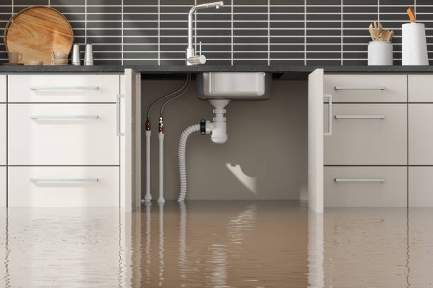 Best Water damage restoration insurance claims  in Memphis, TX